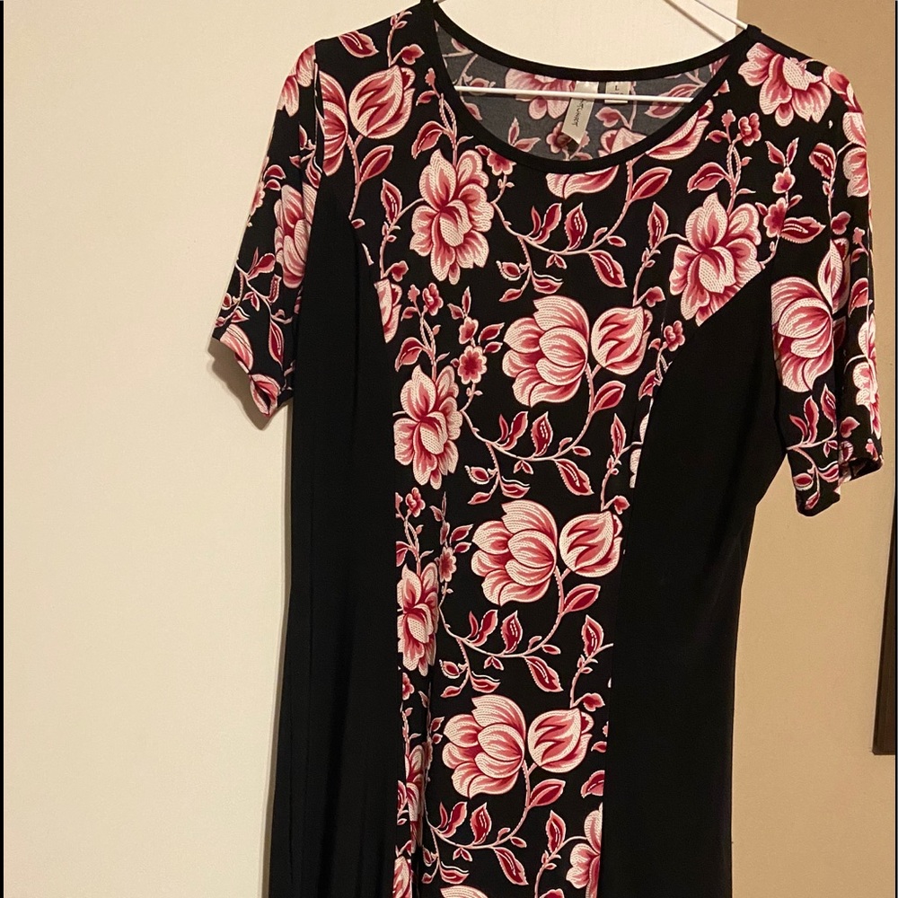 Size lg Tacera dress